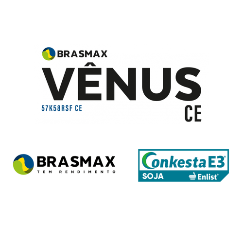Semente Brasmax Vênus CE