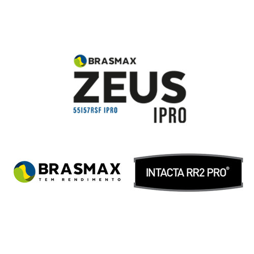 Semente Brasmax Zeus IPRO