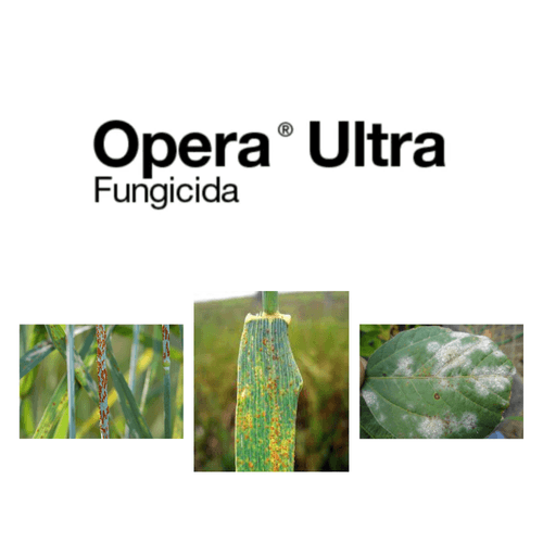 Opera Ultra