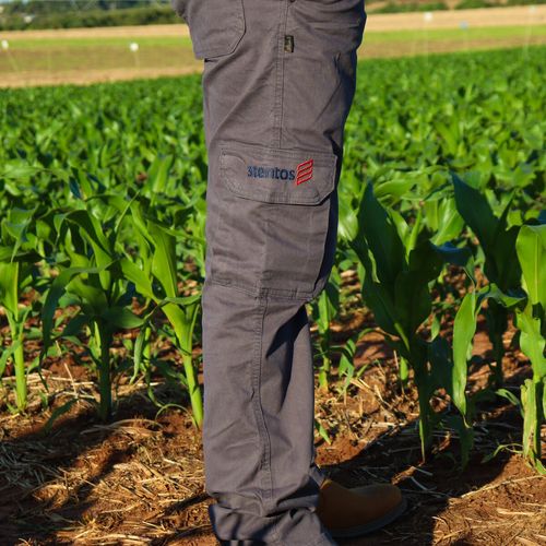 Calça Cargo Cinza