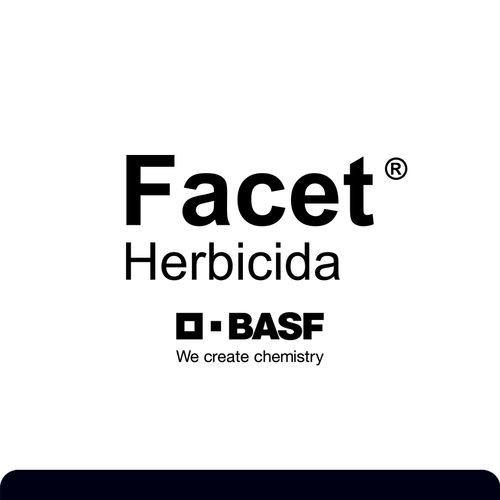 Facet