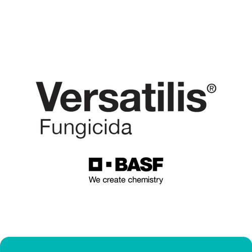 Versatilis