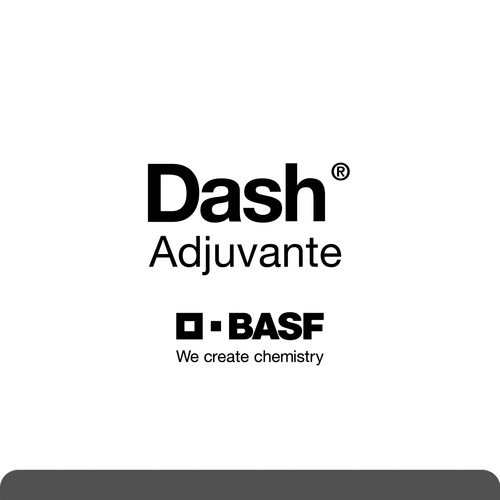 Dash