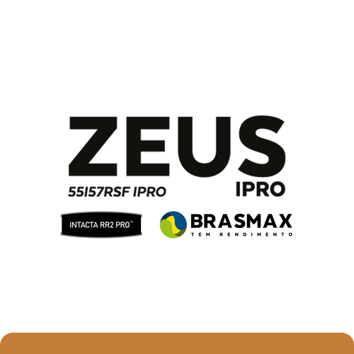 BMX Zeus IPRO