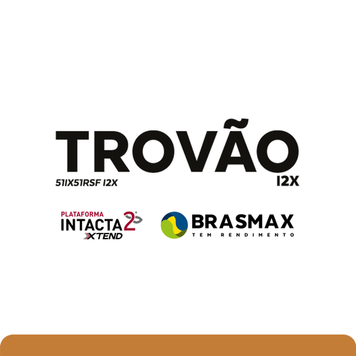 BMX Trovão I2X
