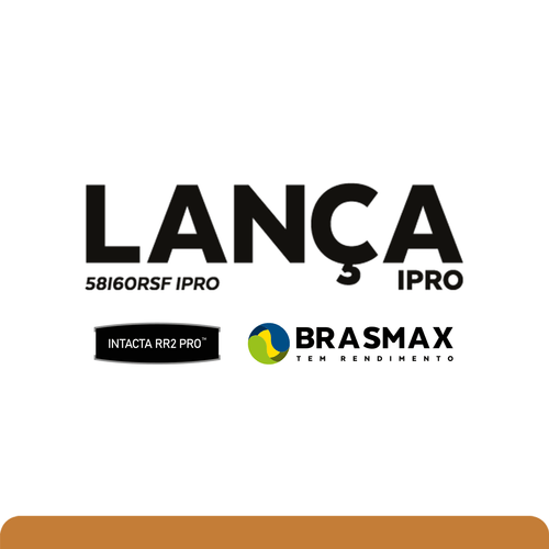 BMX Lança IPRO