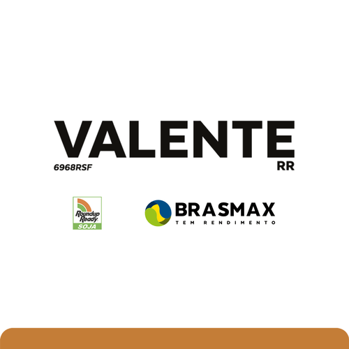 BMX Valente RR