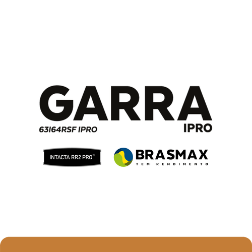 BMX Garra IPRO