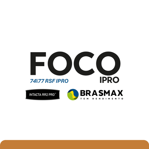 BMX FOCO IPRO
