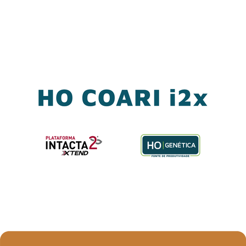 HO Coari I2X