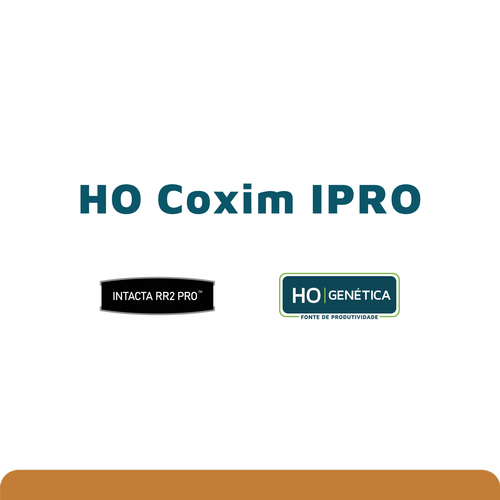 HO Coxim IPRO