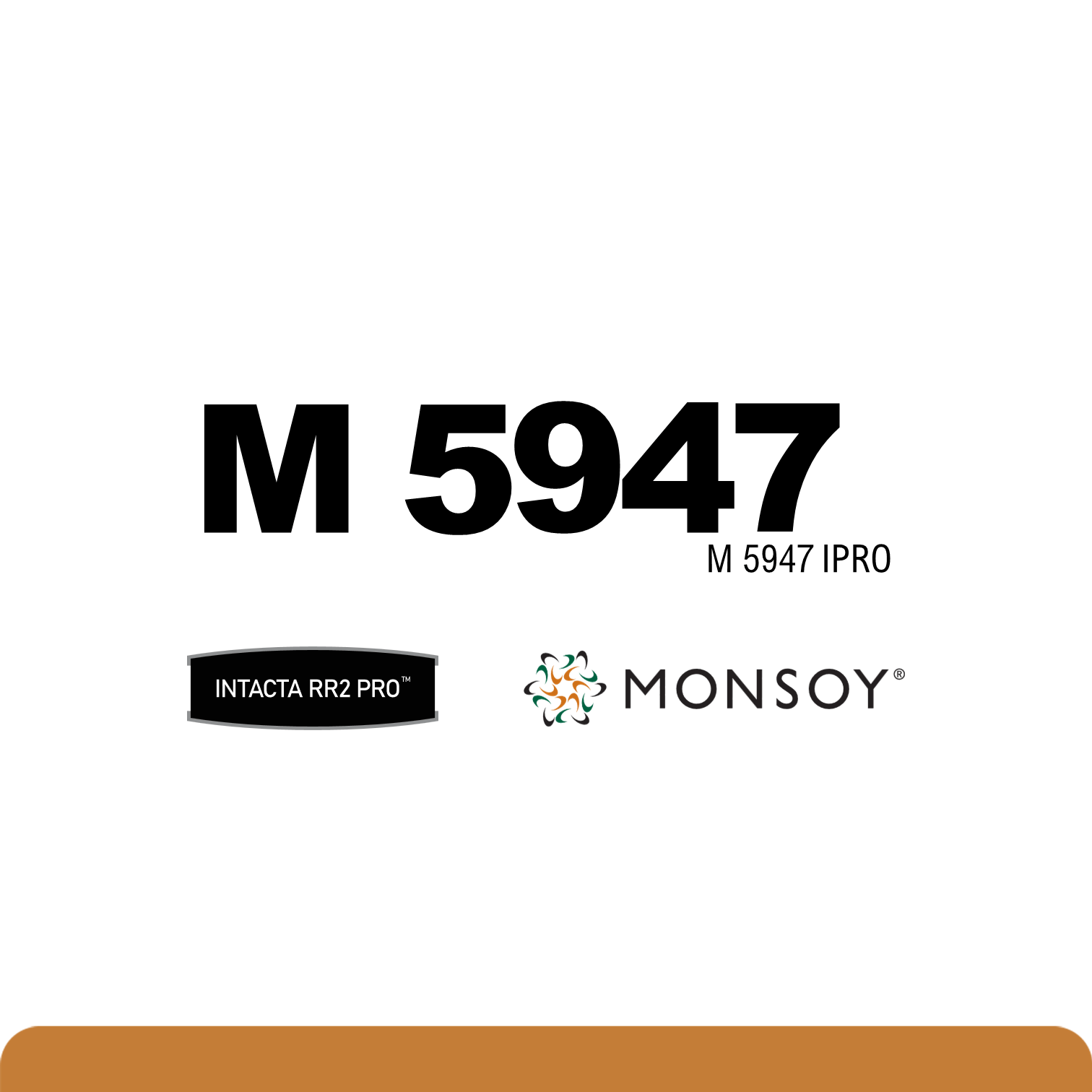 M 5947 IPRO - 3tentos