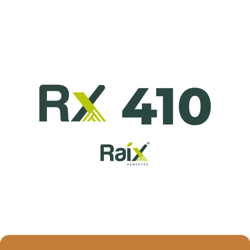 RX 410