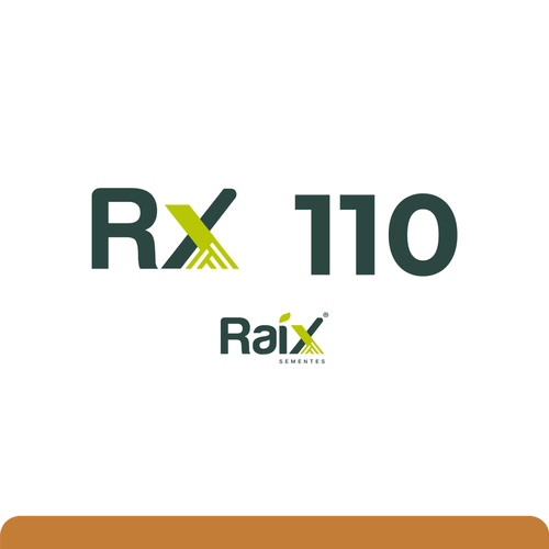 RX 110