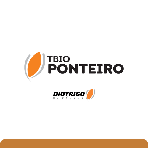 TBIO Ponteiro