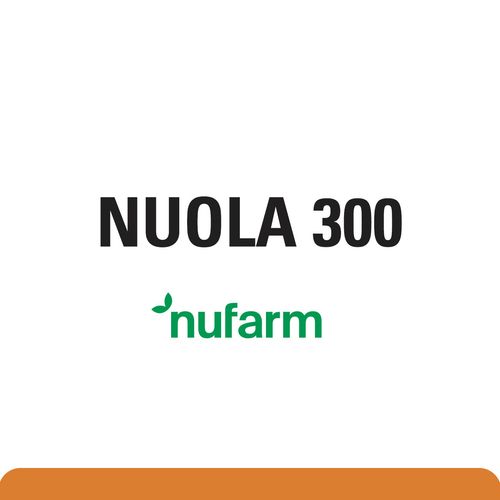 NUOLA 300